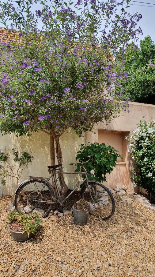 Gites "Tout Au Sud De La France" Pomérols Exterior photo