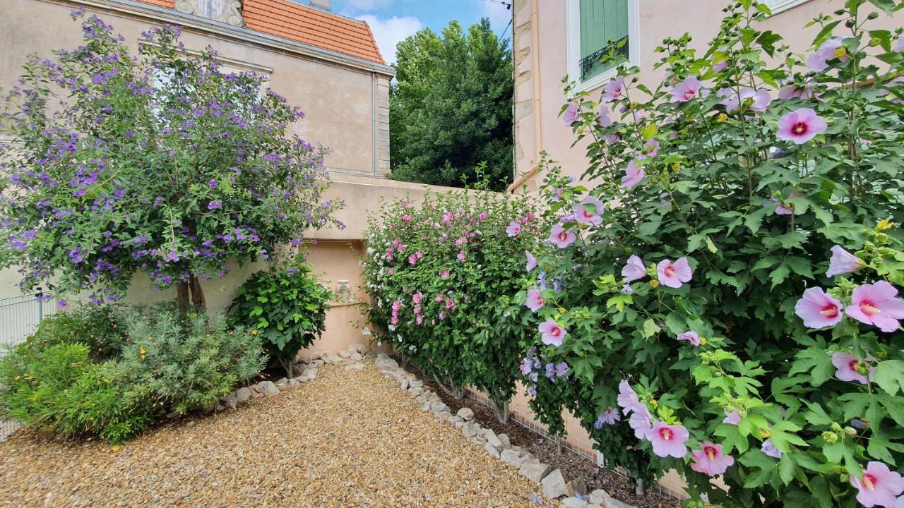 Gites "Tout Au Sud De La France" Pomérols Exterior photo